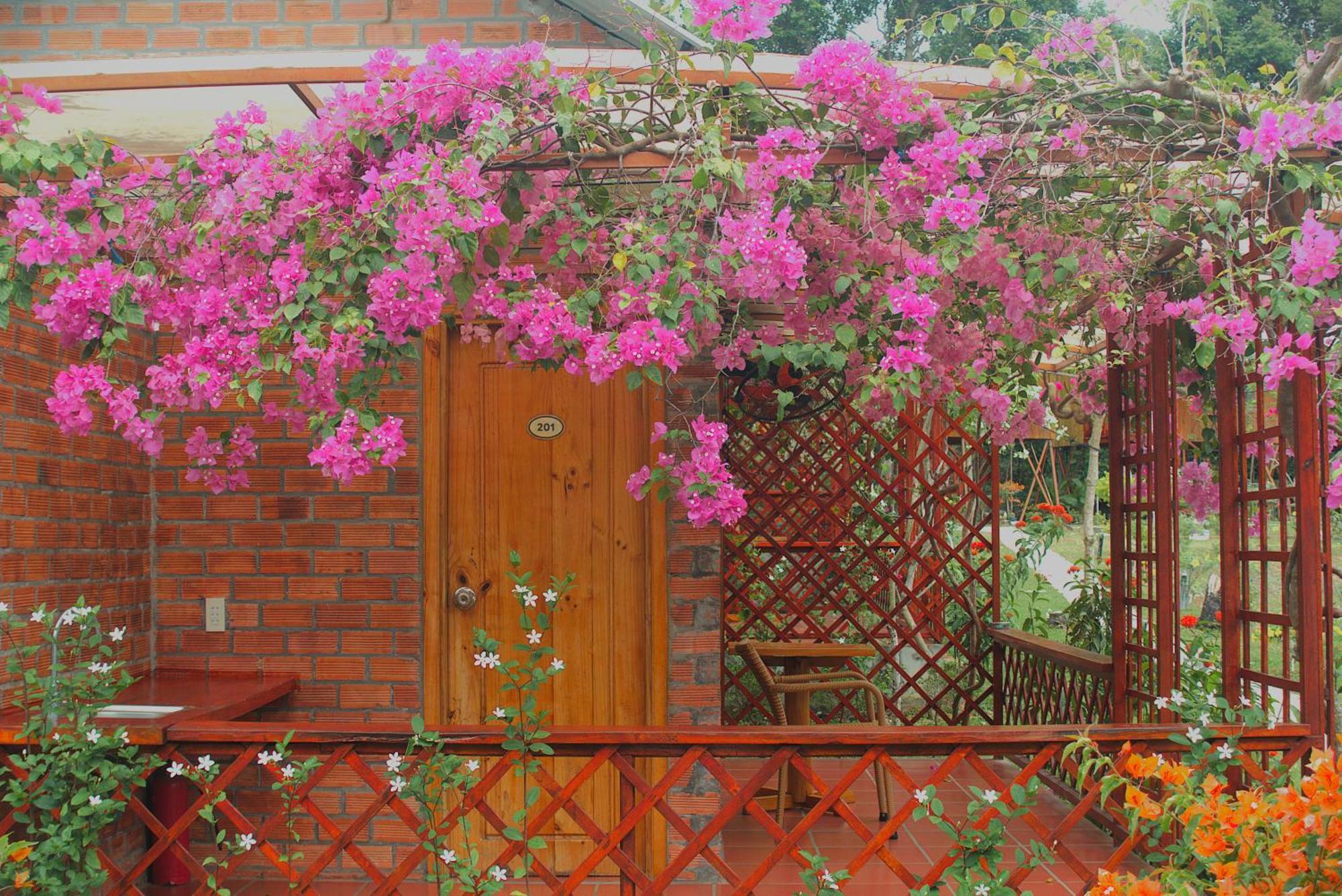 Phu Quoc Valley Sen Bungalow Exterior photo
